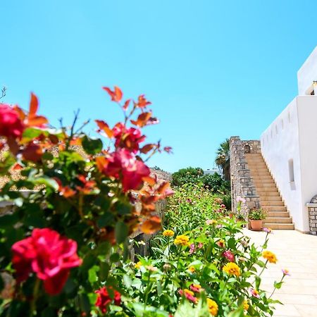 Villa Andromeda 阿莫尔戈斯 外观 照片